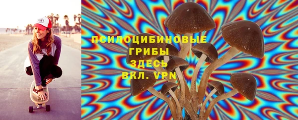прущая мука Пестово