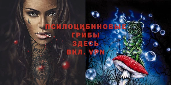 МДПВ Ветлуга