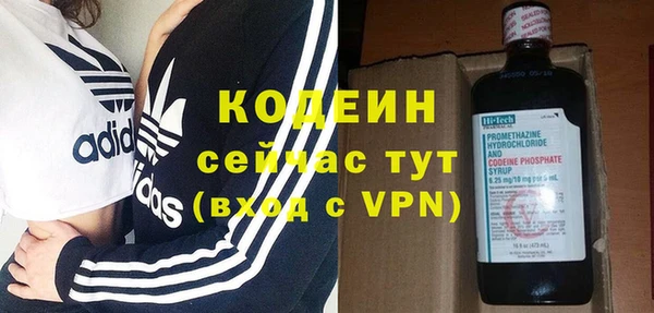 ГАЛЛЮЦИНОГЕННЫЕ ГРИБЫ Пересвет