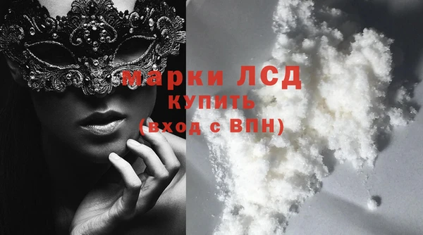 МДПВ Ветлуга