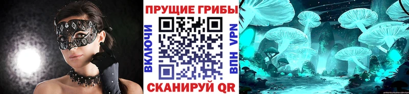 где можно купить   кракен как зайти  Псилоцибиновые грибы Magic Shrooms  Сим 